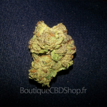 Fleur de cannabis light (CBD) d'une boutique & CBD shop à Téteghem