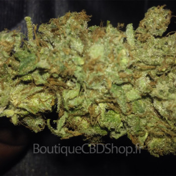 Fleur de cannabis light (CBD) d'une boutique & CBD shop à Eyragues