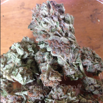 Fleur de cannabis light (CBD) d'une boutique & CBD shop à Gentelles