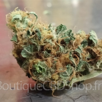 Fleur de cannabis light (CBD) d'une boutique & CBD shop à Saint-Martin-d'Hères