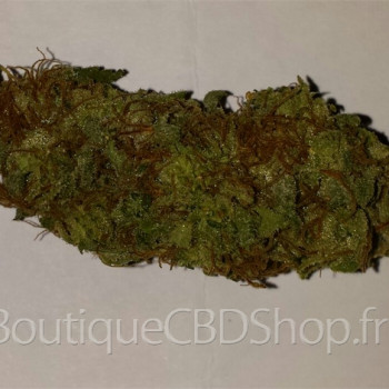 Fleur de cannabis light (CBD) d'une boutique & CBD shop à Aix-en-Provence