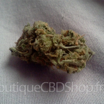 Fleur de cannabis light (CBD) d'une boutique & CBD shop à Salesches