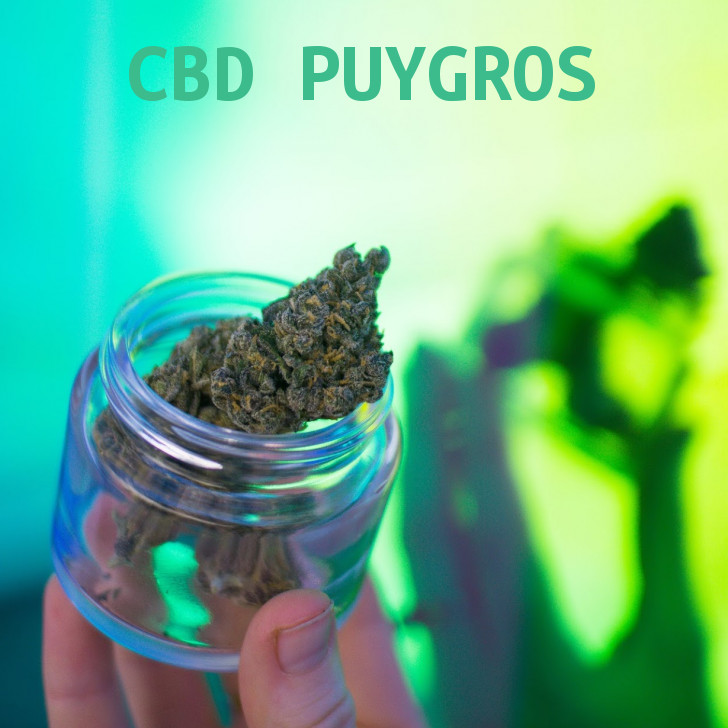 Magasin de cannabis à Puygros : boutique et CBD shop à Puygros