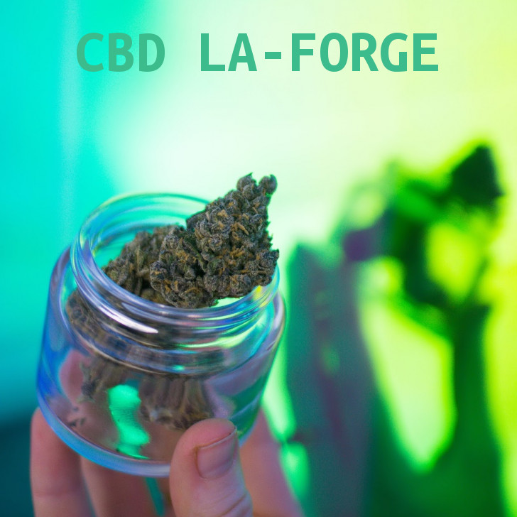 Magasin de cannabis à La Forge : boutique et CBD shop à La Forge