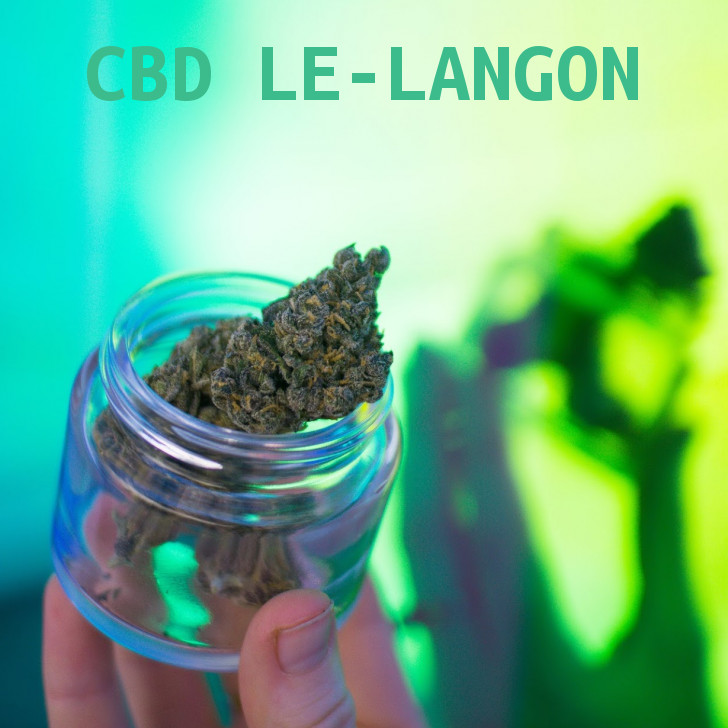 Magasin de cannabis à Le Langon : boutique et CBD shop à Le Langon