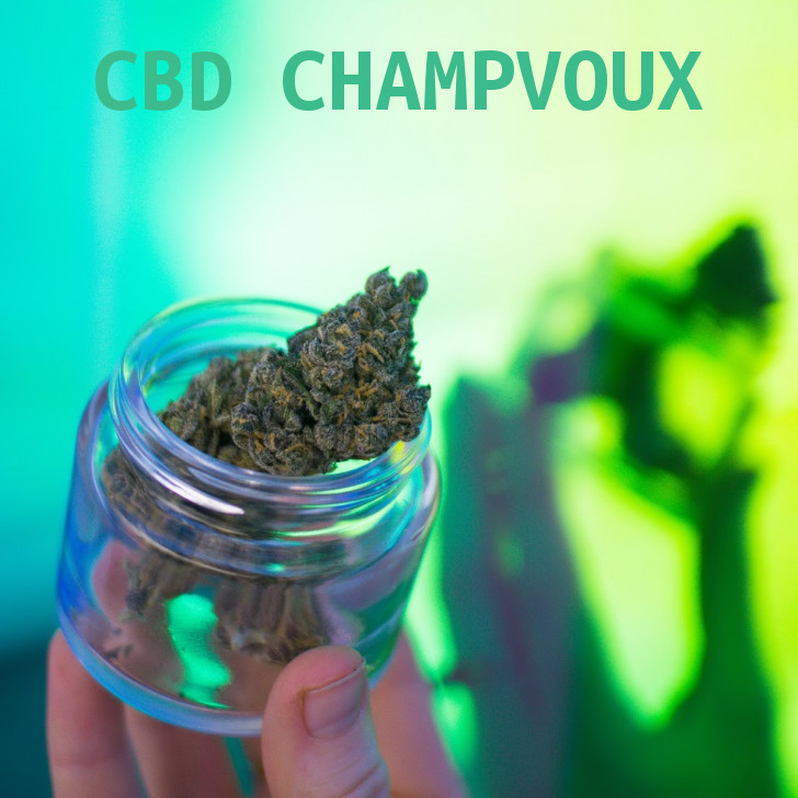 Magasin de cannabis à Champvoux : boutique et CBD shop à Champvoux