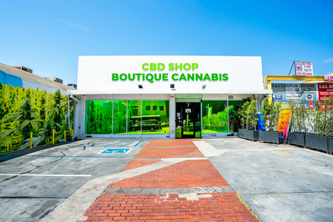 Boutique cannabis CBD shop